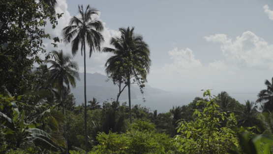Ancient Stone Platforms Paepae at Upeke Site, Hiva Oa, Marquesas