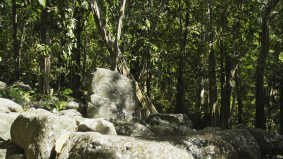 Tiki Tiu, Ancient Stone Platforms Paepae at Upeke Site, Hiva Oa, Marquesas