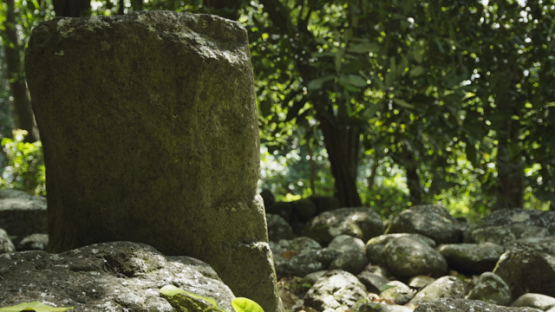 Tiki Tiu, Ancient Stone Platforms Paepae at Upeke Site, Hiva Oa, Marquesas