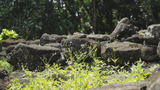 Ancient Stone Platforms Paepae at Upeke Site, Hiva Oa, Marquesas
