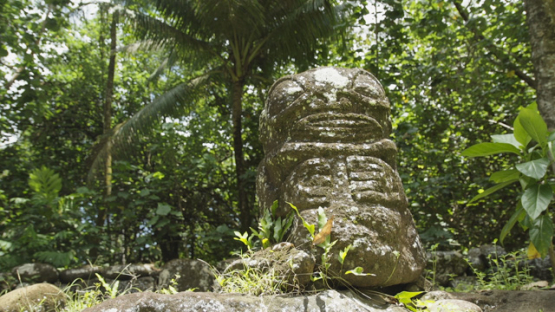 Kamuihei Archaeological Site, Nuku Hiva, Hatiheu, Marquesas Archipelago