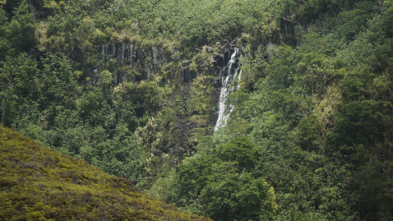Waterfall, Nuku Hiva, Hatiheu bay, Marquesas Archipelago