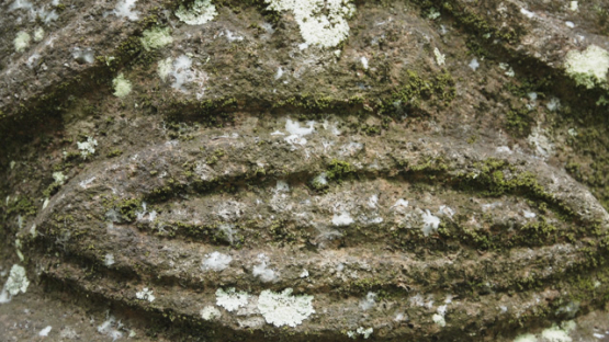 Tiki, Kamuihei Archaeological Site, Nuku Hiva, Hatiheu, Marquesas Archipelago