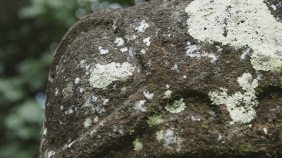 Tiki, Kamuihei Archaeological Site, Nuku Hiva, Hatiheu, Marquesas Archipelago