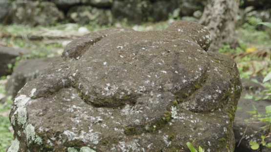 Turtle tiki, Kamuihei Archaeological Site, Nuku Hiva, Hatiheu, Marquesas Archipelago