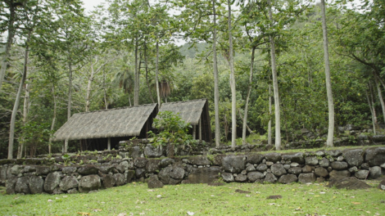 Kamuihei Archaeological Site, Nuku Hiva, Hatiheu, Marquesas Archipelago