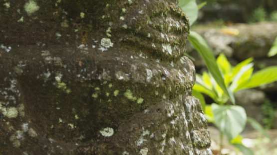 Kamuihei Archaeological Site, Nuku Hiva, Hatiheu, Marquesas Archipelago