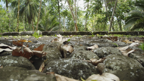 Kamuihei Archaeological Site, Nuku Hiva, Hatiheu, Marquesas Archipelago