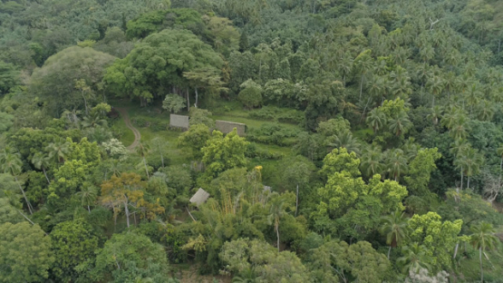 Aerial drone shot, Koueva Archaeological Site, Tohua, Nuku Hiva, Marquesas Archipelago, French Polynesia