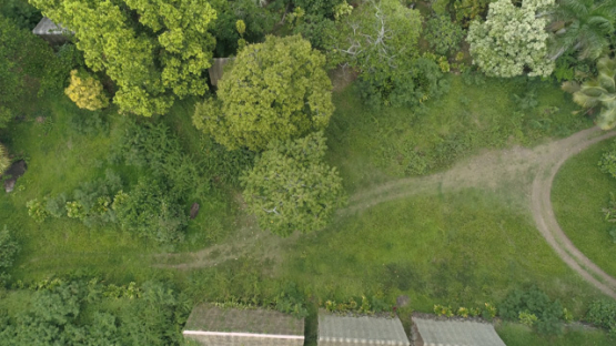 Aerial drone shot, Koueva Archaeological Site, Tohua, Nuku Hiva, Marquesas Archipelago, French Polynesia