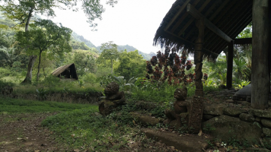 Aerial drone shot, Koueva Archaeological Site, Tiki, Tohua, Nuku Hiva, Marquesas Archipelago, French Polynesia