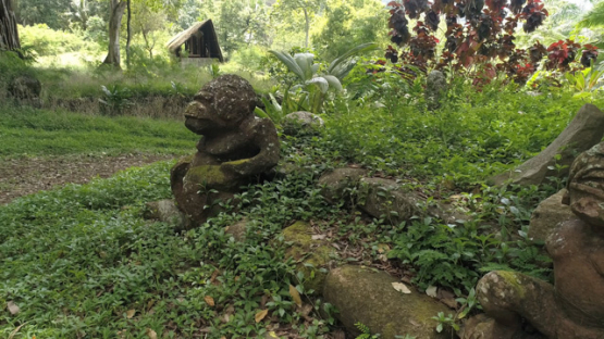 Aerial drone shot, Koueva Archaeological Site, Tohua, Tiki, Nuku Hiva, Marquesas Archipelago, French Polynesia