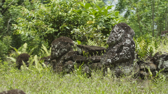 Paeke Archaeological Site, Tikis, Taipivai Valley, Nuku Hiva, French Polynesia