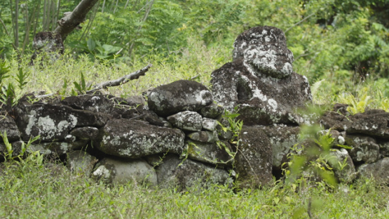 Paeke Archaeological Site, Tikis, Taipivai Valley, Nuku Hiva, French Polynesia