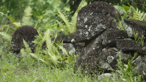 Paeke Archaeological Site, Tikis, Taipivai Valley, Nuku Hiva, French Polynesia