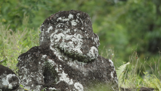 Paeke Archaeological Site, Tikis, Taipivai Valley, Nuku Hiva, French Polynesia