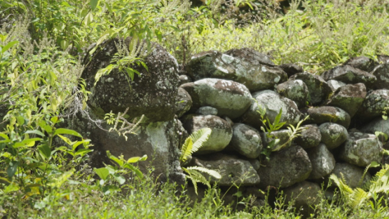 Paeke Archaeological Site, Tikis, Taipivai Valley, Nuku Hiva, French Polynesia