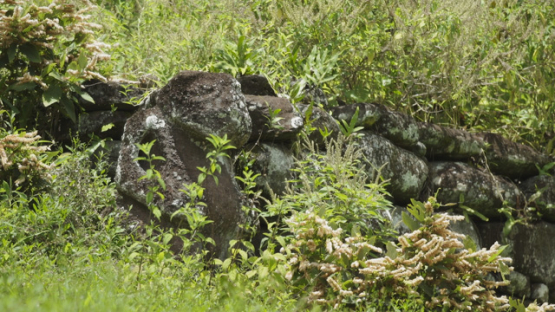 Paeke Archaeological Site, Tikis, Taipivai Valley, Nuku Hiva, French Polynesia