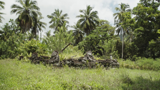 Paeke Archaeological Site, Tikis, Taipivai Valley, Nuku Hiva, French Polynesia