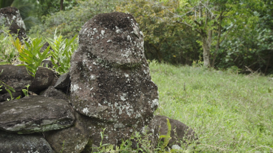 Paeke Archaeological Site, Tikis, Taipivai Valley, Nuku Hiva, French Polynesia