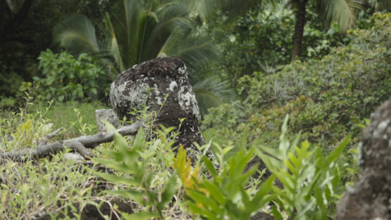 Paeke Archaeological Site, Tikis, Taipivai Valley, Nuku Hiva, French Polynesia
