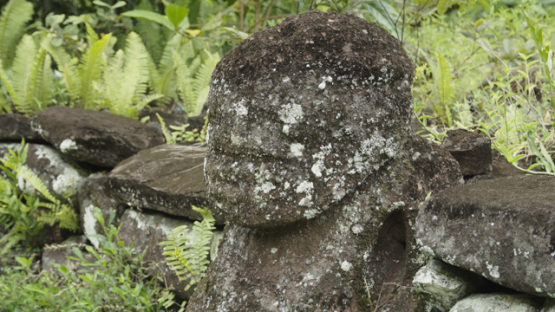 Paeke Archaeological Site, Tikis, Taipivai Valley, Nuku Hiva, French Polynesia