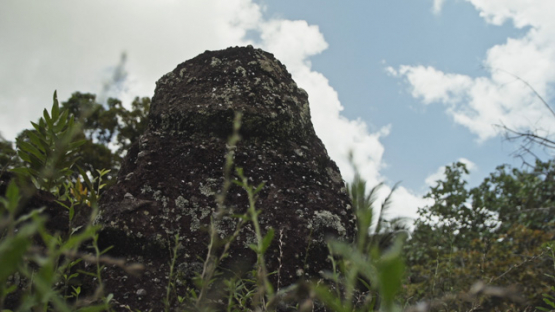 Paeke Archaeological Site, Tikis, Taipivai Valley, Nuku Hiva, French Polynesia
