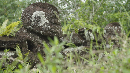Paeke Archaeological Site, Tikis, Taipivai Valley, Nuku Hiva, French Polynesia