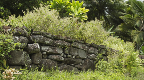 Paeke Archaeological Site, Tikis, Taipivai Valley, Nuku Hiva, French Polynesia