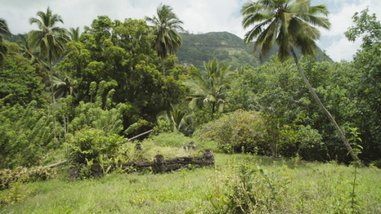 Paeke Archaeological Site, Tikis, Taipivai Valley, Nuku Hiva, French Polynesia