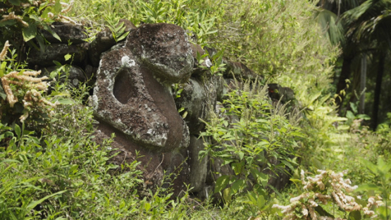 Paeke Archaeological Site, Tikis, Taipivai Valley, Nuku Hiva, French Polynesia