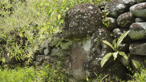 Paeke Archaeological Site, Tikis, Taipivai Valley, Nuku Hiva, French Polynesia