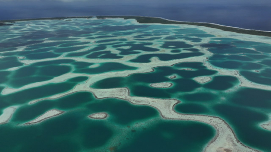 Drone Aerial View of Mataiva Atoll and its Reticulated Lagoon, Leopard Lagoon, Tuamotu Archipelago, French Polynesia