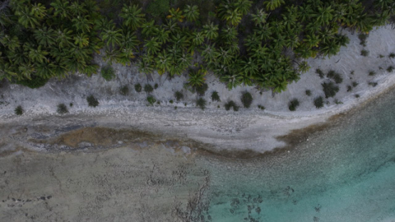 Drone Aerial View of Mataiva Atoll and its Reticulated Lagoon, Leopard Lagoon, Tuamotu Archipelago, French Polynesia