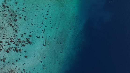 Blue Lagoon Shades of Tahaa and Coral Motu ,Drone Aerial Shot of the Vanilla Island, French Polynesiaa