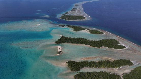 Fakarava South Pass, Tumakohua, Drone Aerial View of the Atoll and Turquoise Lagoon, Tuamotu, French Polynesia