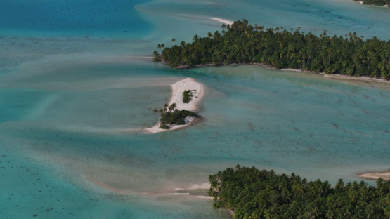 Fakarava South Pass, Tumakohua, Drone Aerial View of the Atoll and Turquoise Lagoon, Tuamotu, French Polynesia