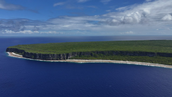 Makatea Upraised Atoll Aerial Drone View Tuamotu French Polynesia
