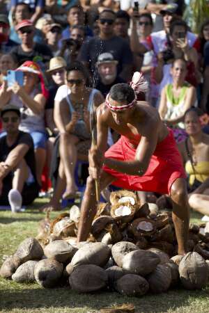 Traditional polynesian sports contest, Coconut shelling, Tahiti, French Polynesia