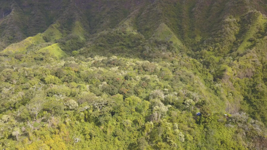 Aerial drone view of Orange Valley Punaauia Tahiti
