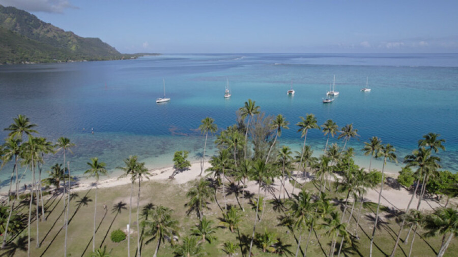 Aerial drone view Tahiamanu Beach, Anchored Sailboats Opunohu Moorea