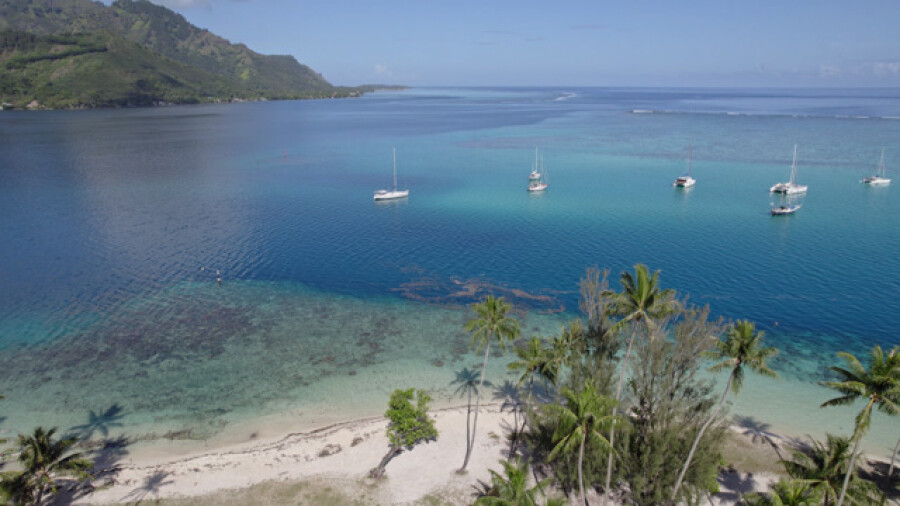 Aerial drone view Tahiamanu Beach, Anchored Sailboats Opunohu Moorea