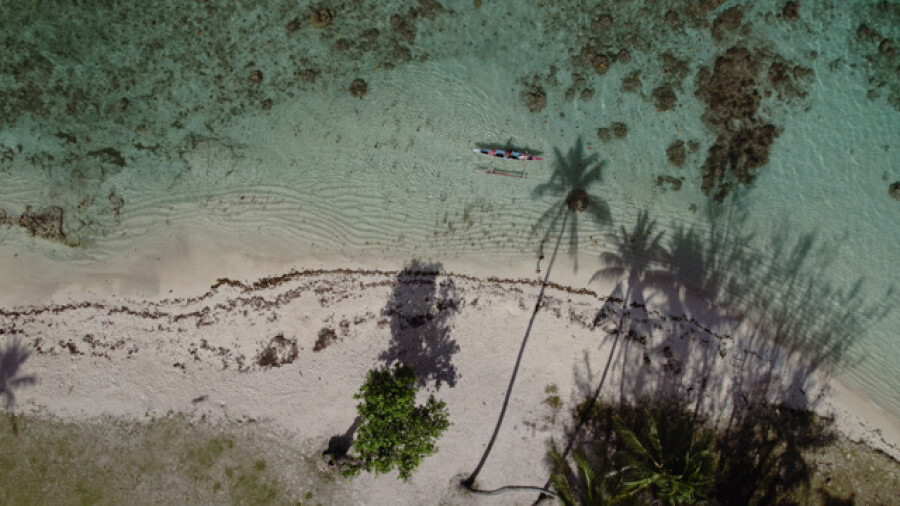 Aerial drone topview Traditional canoe at Tahiamanu Beach, Opunohu Moorea