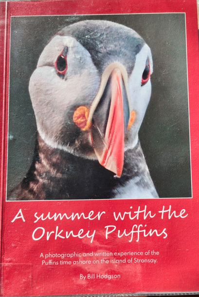 A summer with the Orkney Puffins