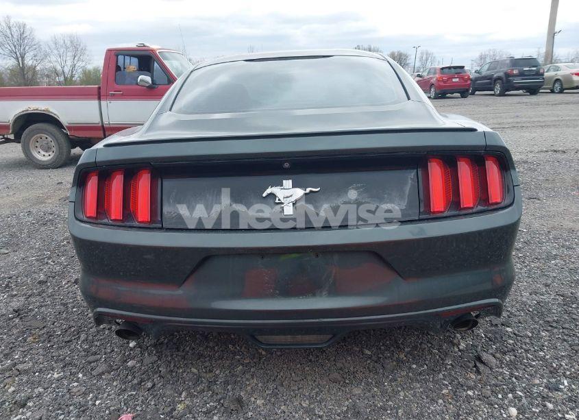Thumbnail 8 of 2015 FORD MUSTANG V6
