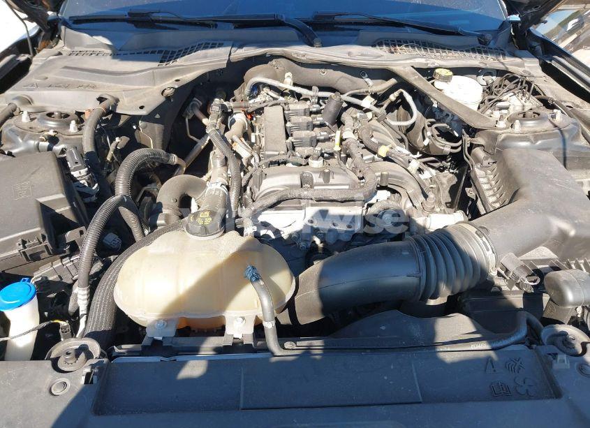 Thumbnail 2 of 2021 FORD MUSTANG ECOBOOST PREMIUM