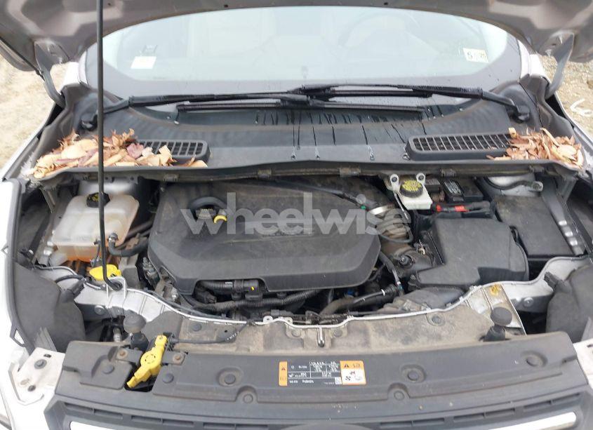 Thumbnail 2 of 2014 FORD ESCAPE SE