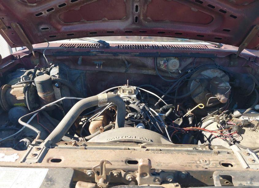 1983 Ford F100