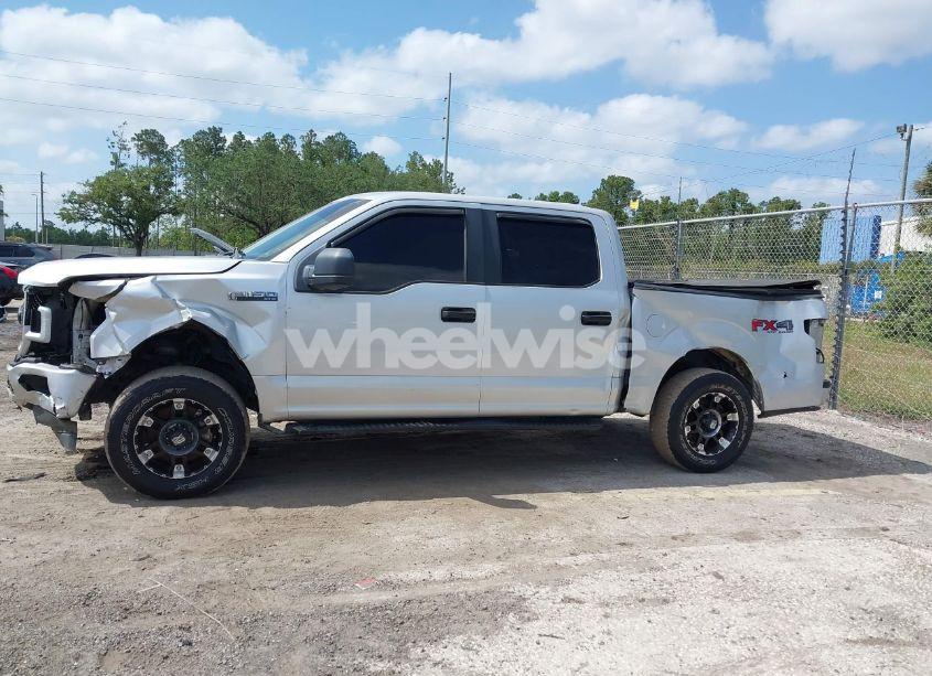 Thumbnail 6 of 2019 FORD F-150 XL