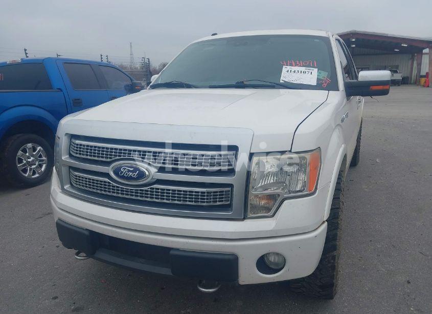 Thumbnail 13 of 2011 FORD F-150 PLATINUM